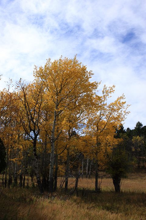 img_6748.jpg