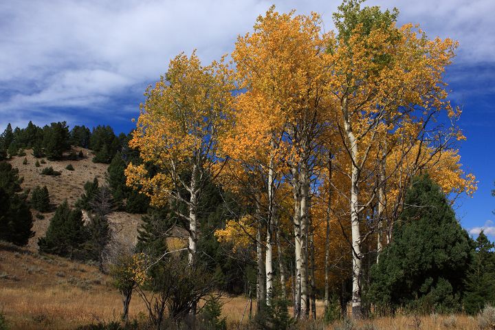 img_6756.jpg