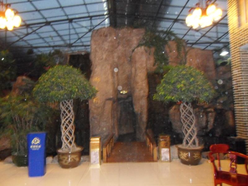 sdc17791.jpg