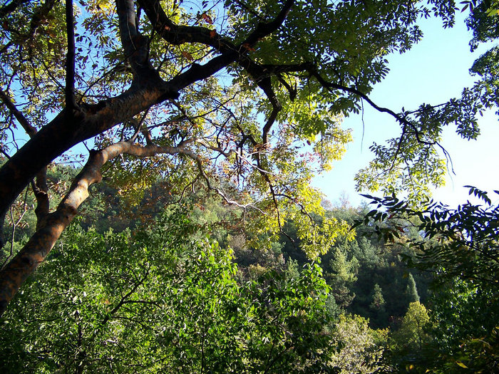 100_1722.jpg