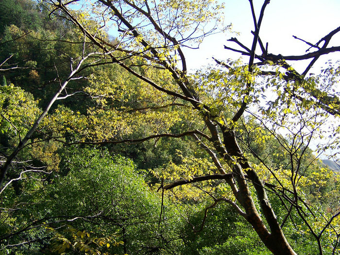 100_1724.jpg