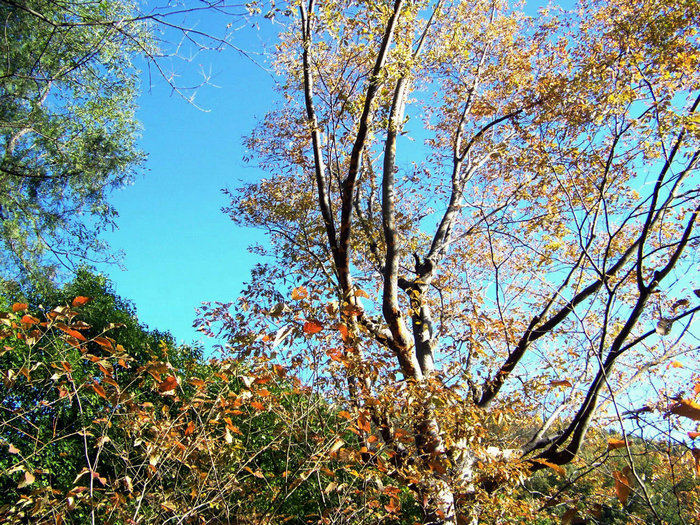 100_1743.jpg