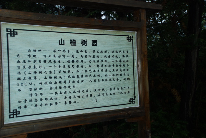 dsc_0546.jpg