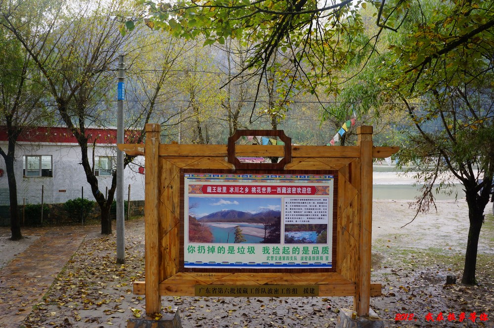 49.jpg