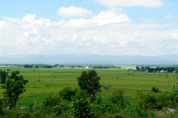 dsc_1184-0-1.jpg