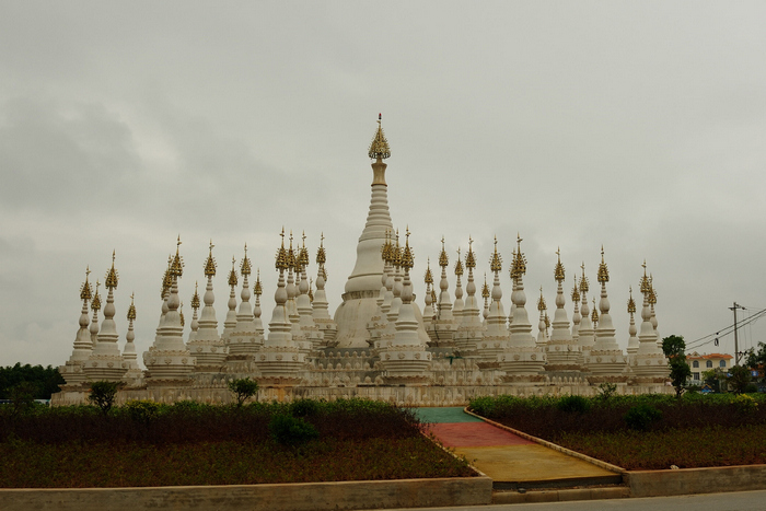 dsc_1202-0-1.jpg