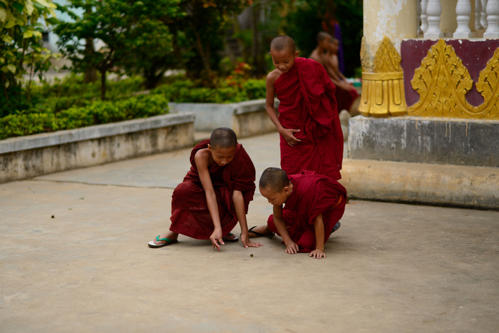 dsc_2953-1-0.jpg