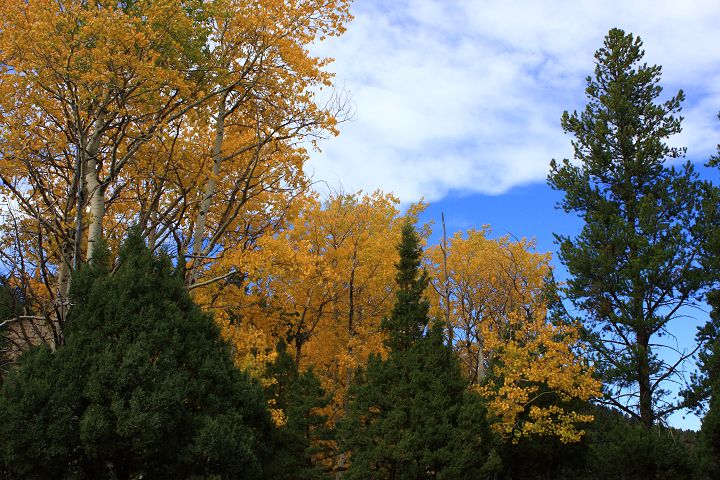 img_6778.jpg