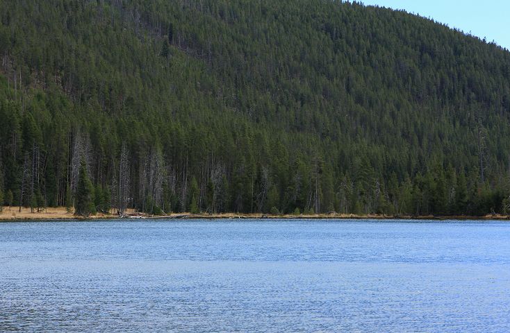img_6782.jpg