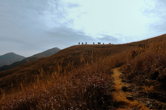 dsc_2351-0-1.jpg