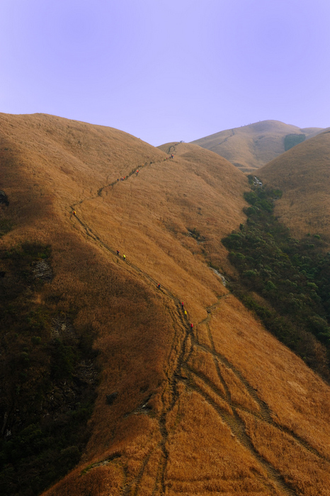 dsc_2364-0-1.jpg