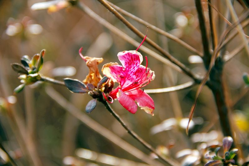 _mg_2953.jpg