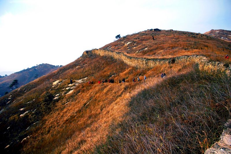 _mg_2996.jpg