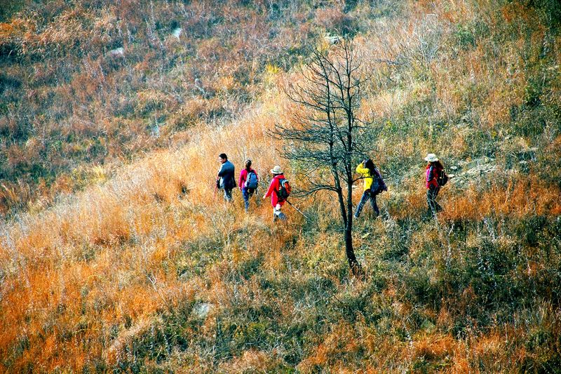 _mg_3020.jpg