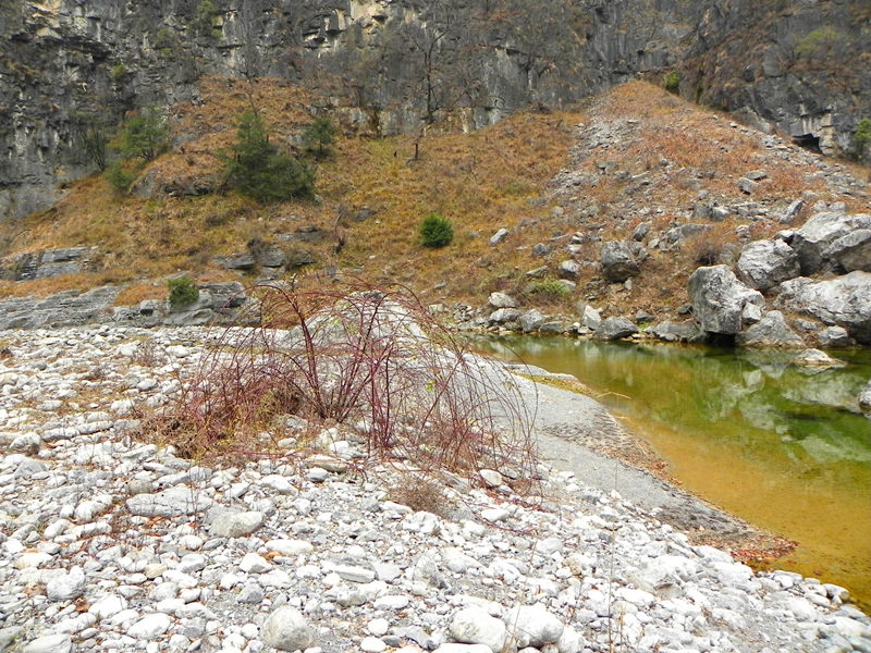 dscn2368_.jpg