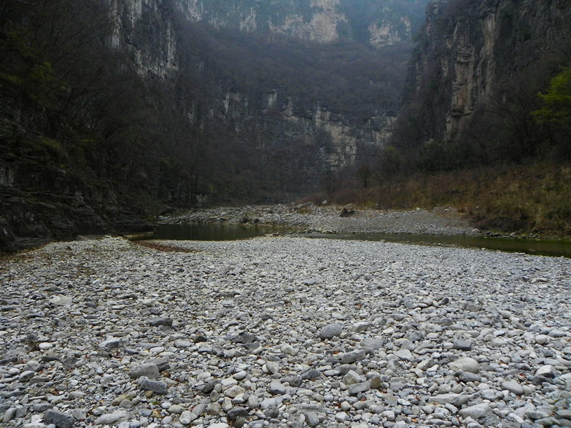 dscn2370_.jpg