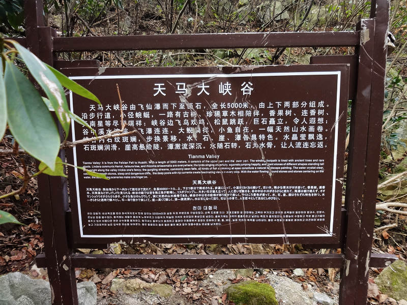 dsc02342.jpg
