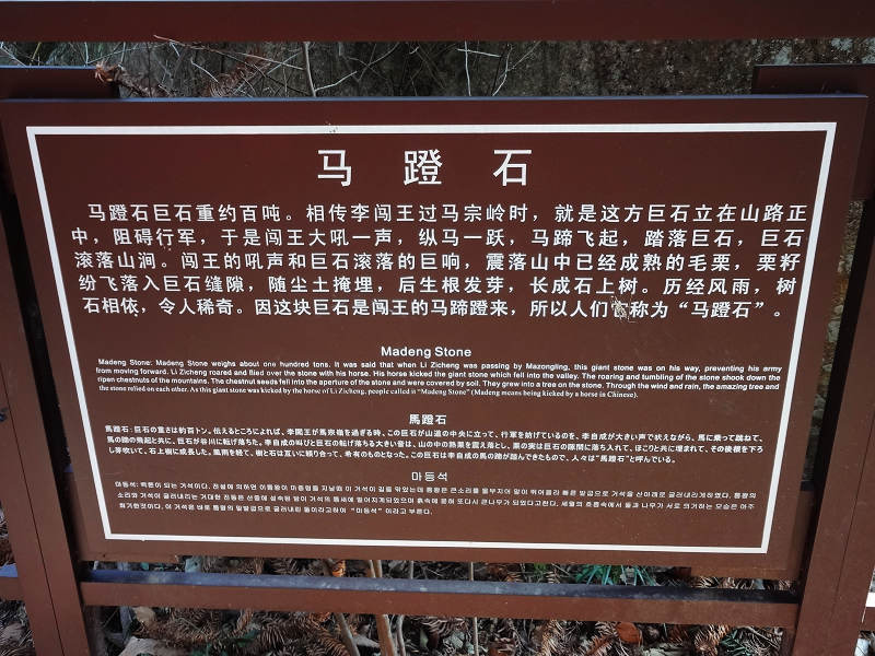 dsc02475.jpg