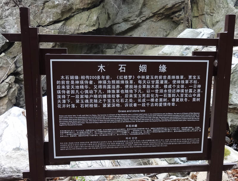 dsc02487.jpg