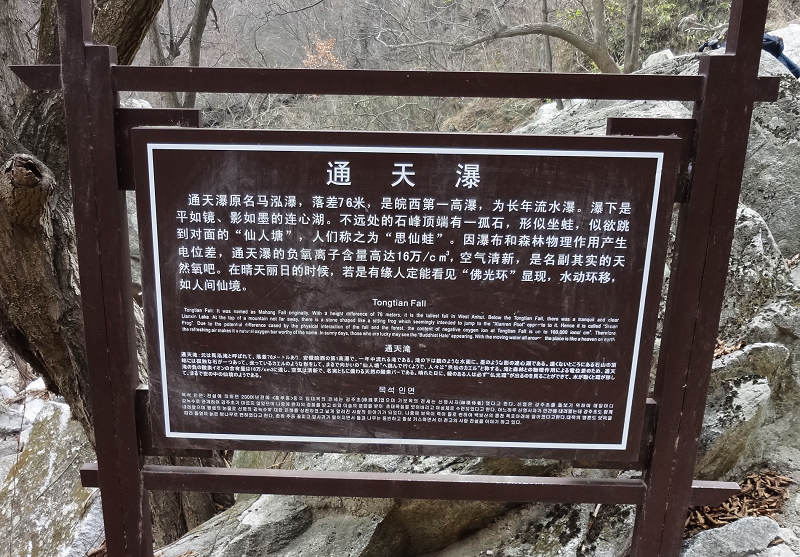dsc02503.jpg