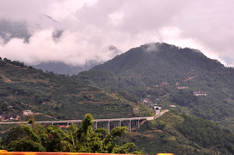 dsc_0102-8.jpg