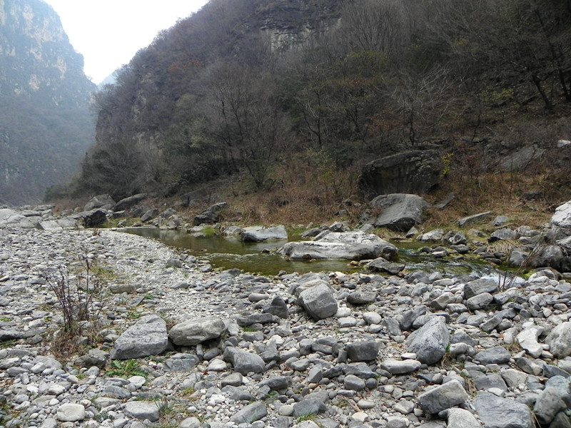dscn2383_.jpg