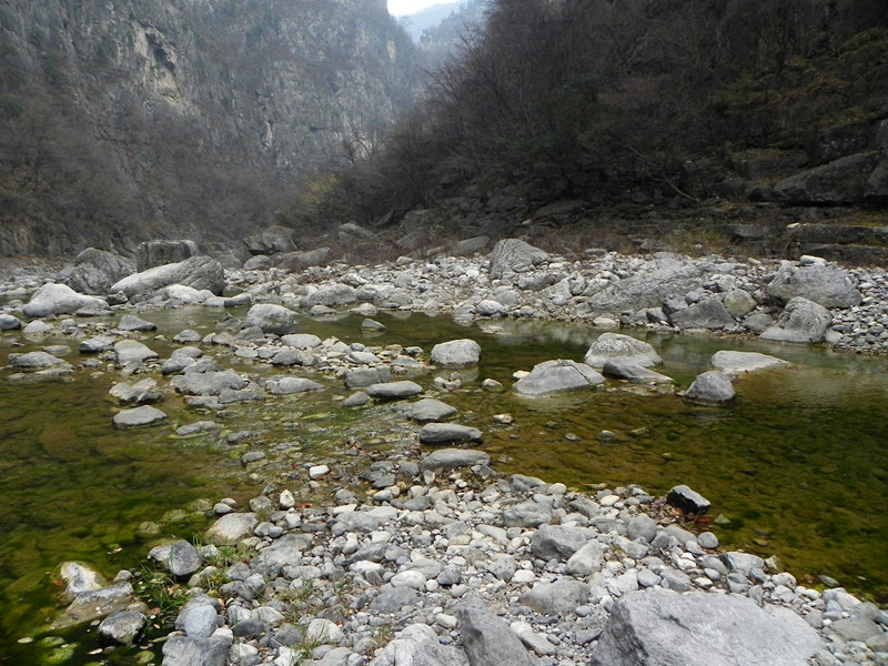 dscn2384_.jpg