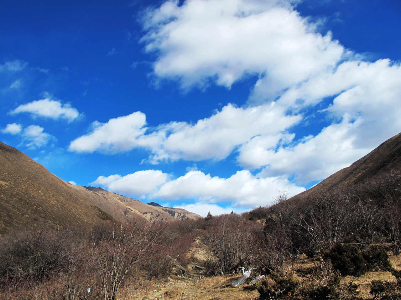 img_6865.jpg