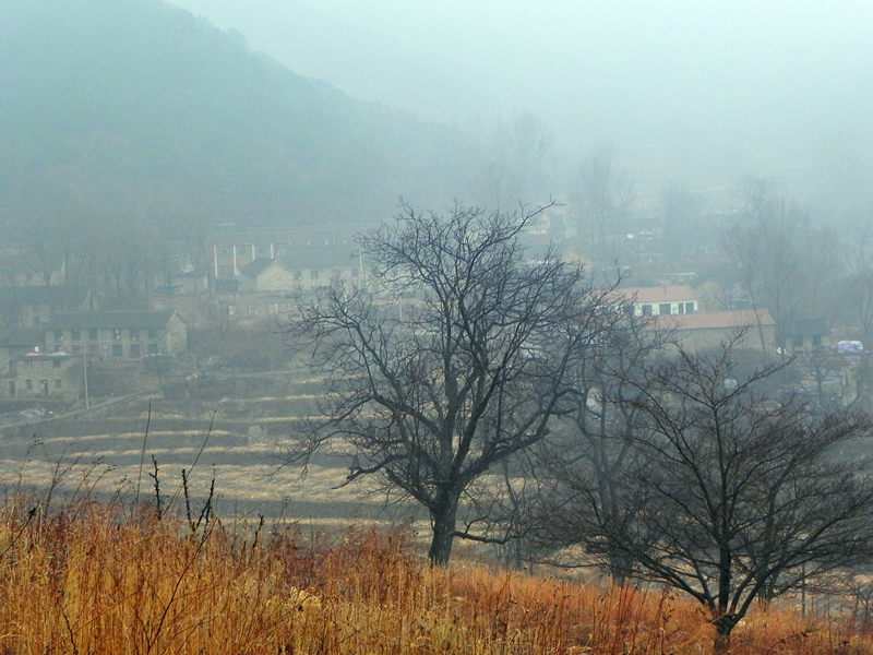 dscn2483_.jpg