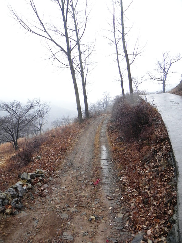 dscn2484_.jpg