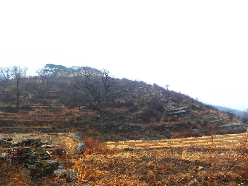 dscn2520_.jpg