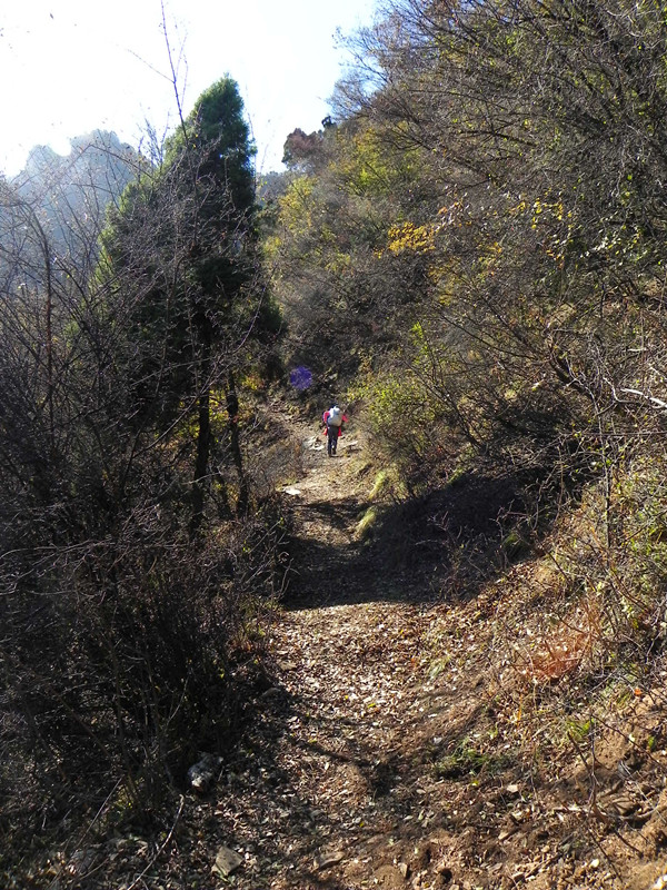 dscn2927_.jpg