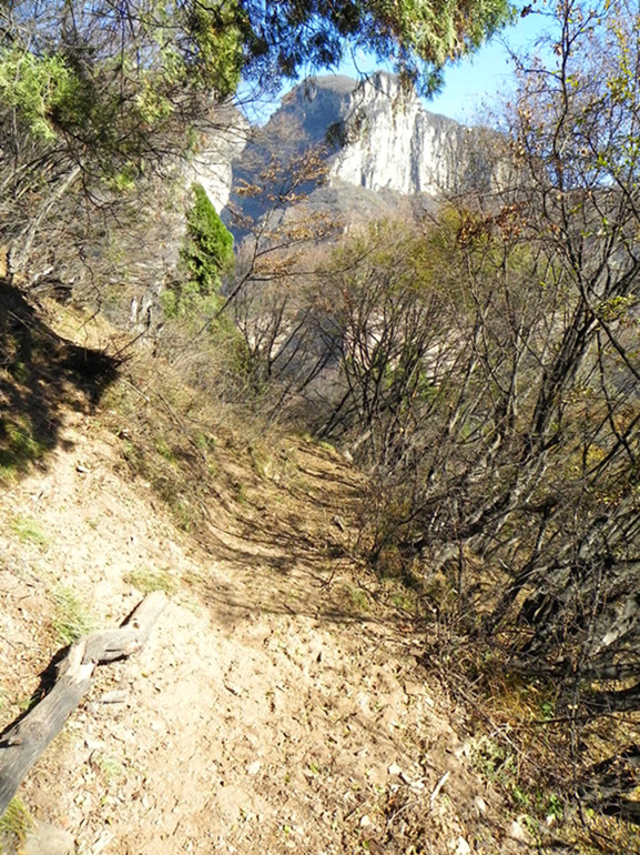 dscn2928_.jpg