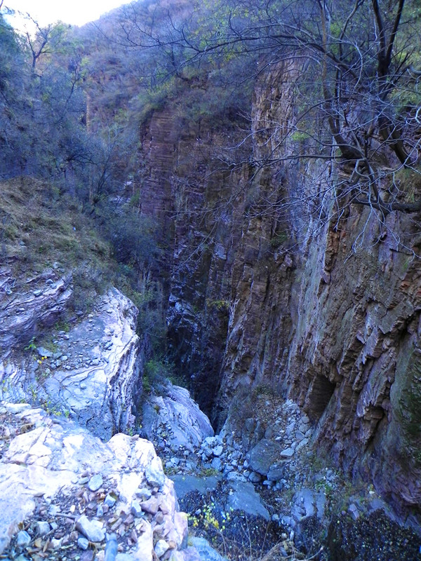 dscn2951_.jpg