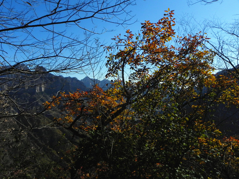 dscn2954_.jpg