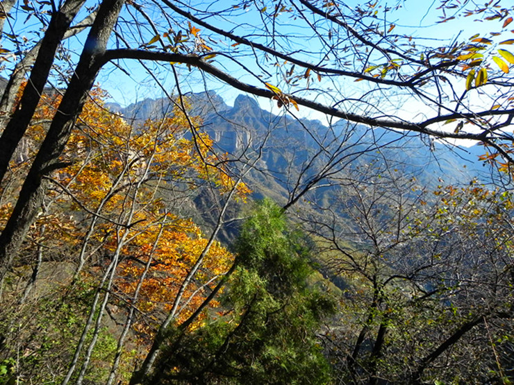 dscn2955_.jpg