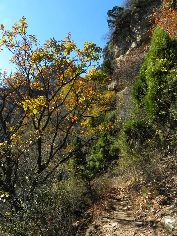 dscn2958_.jpg