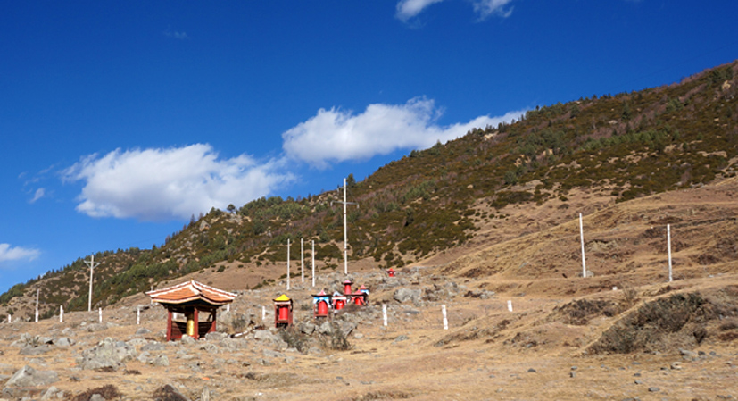 dsc08102.jpg