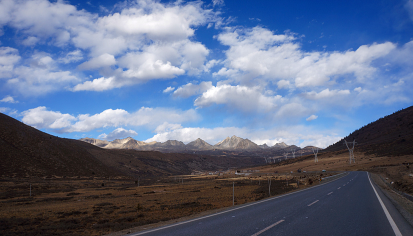 dsc08136.jpg