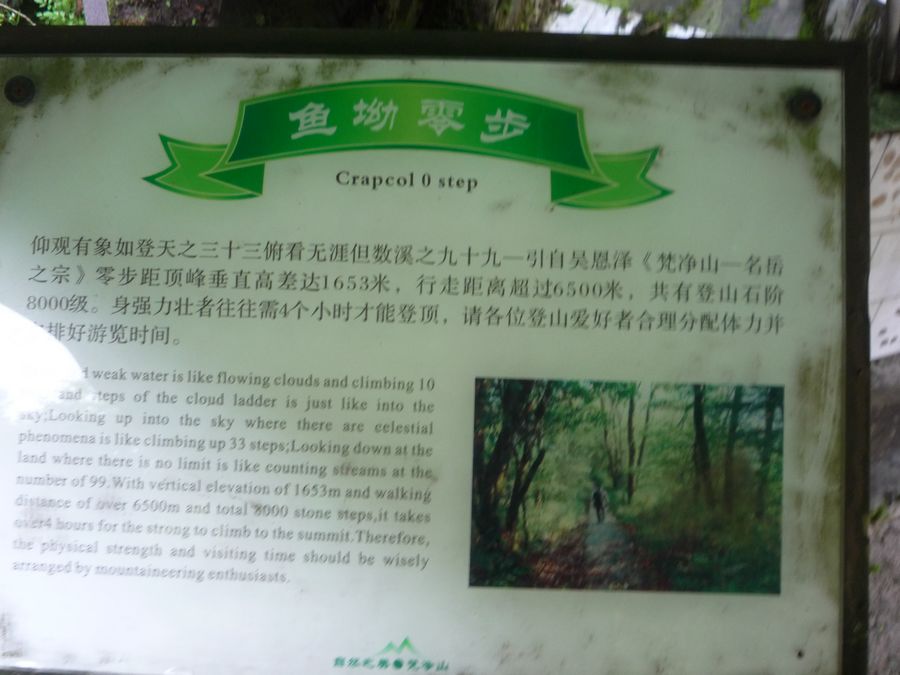 p1110639.jpg