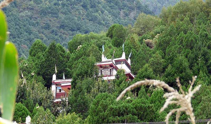 57.jpg