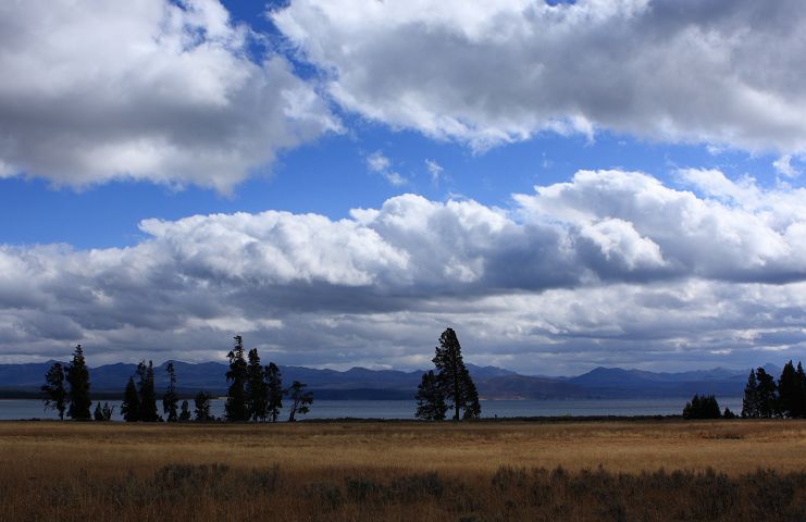 img_6919.jpg