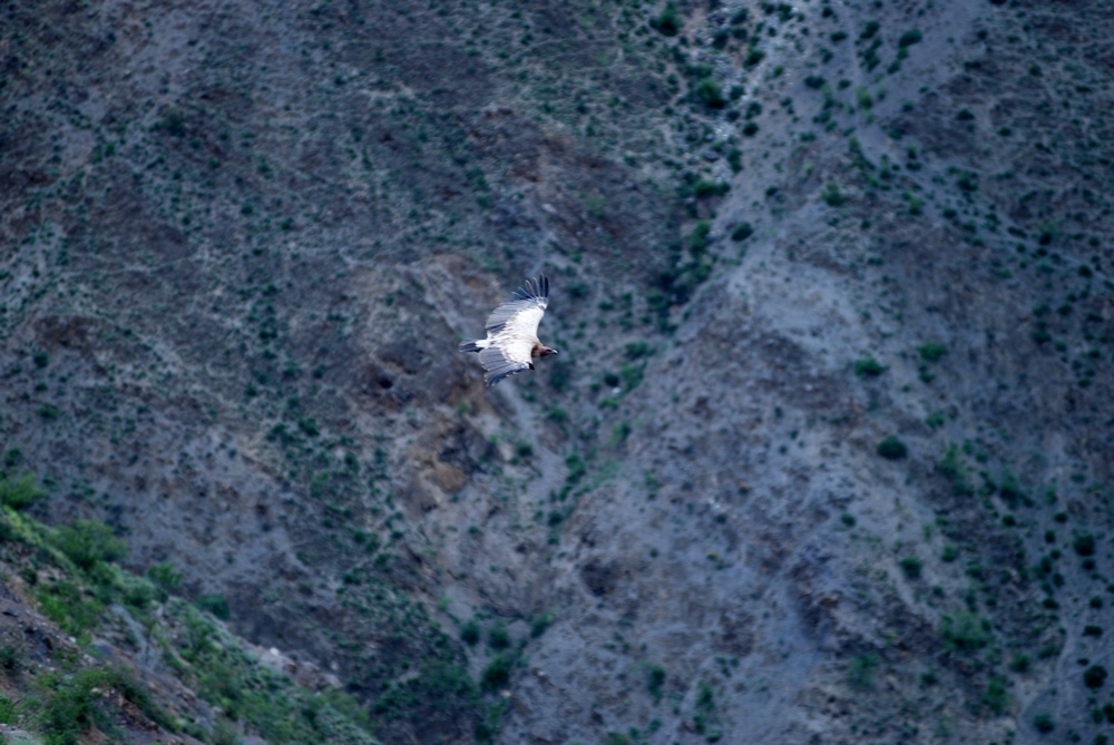 dsc_0848.jpg