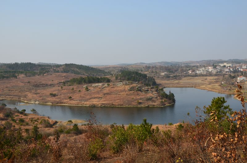 dsc_0854a.jpg