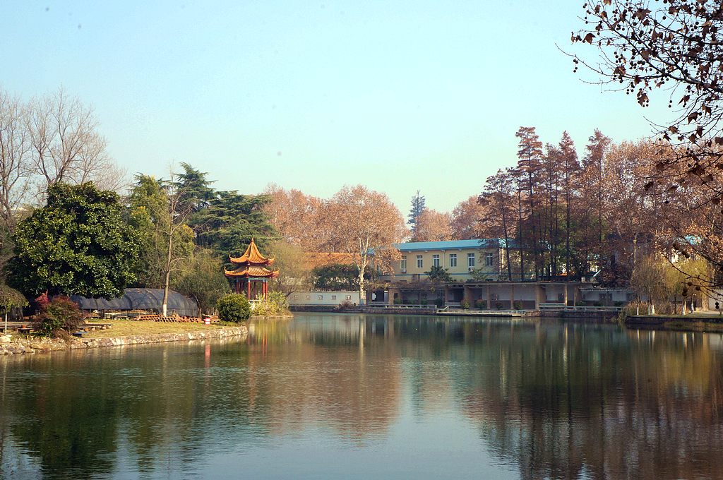 dsc08489.jpg