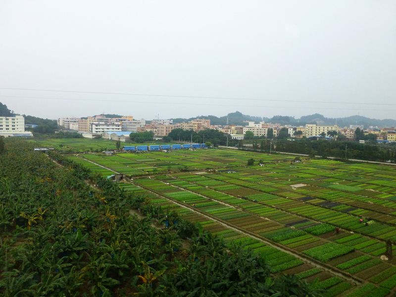 p1000260.jpg