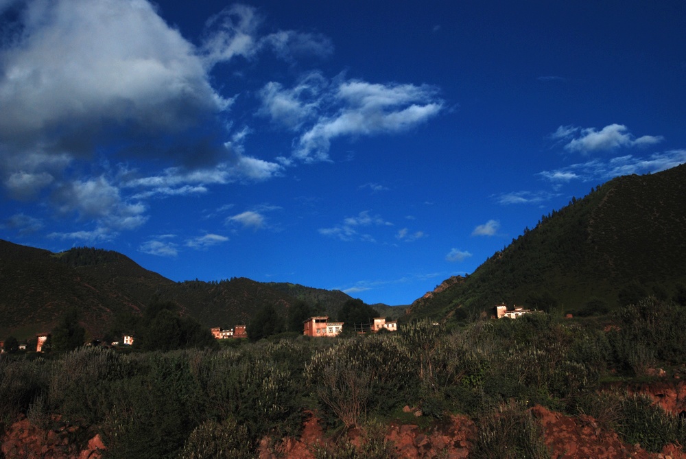 dsc_0173.jpg