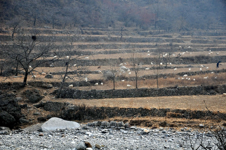 dsc_0499.jpg