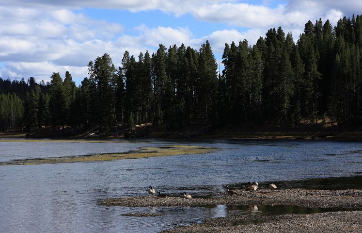img_7004.jpg