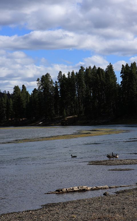 img_7010.jpg